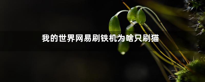 我的世界网易刷铁机为啥只刷猫