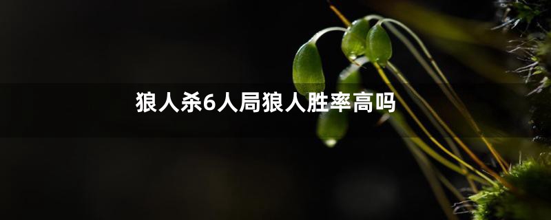 狼人杀6人局狼人胜率高吗