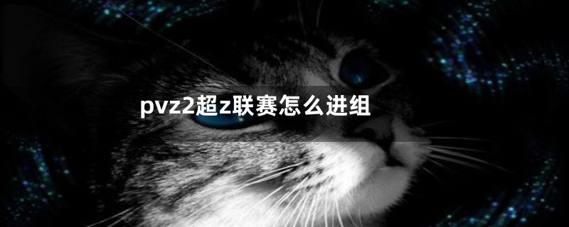 pvz2超z联赛怎么进组
