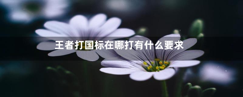 王者打国标在哪打有什么要求