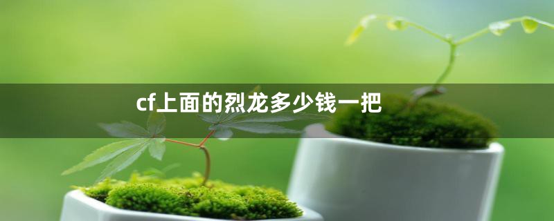 cf上面的烈龙多少钱一把