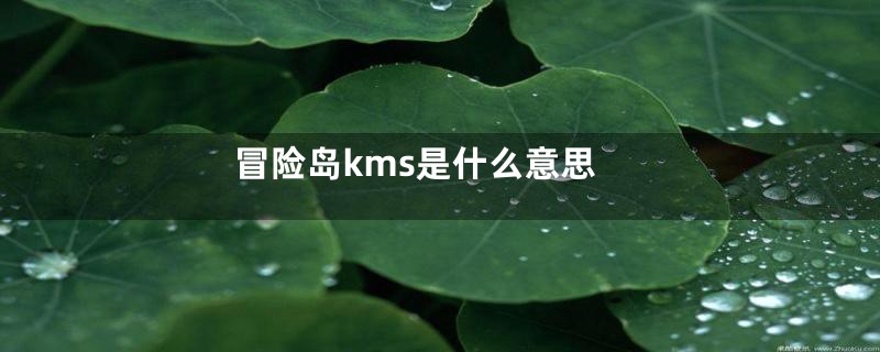 冒险岛kms是什么意思
