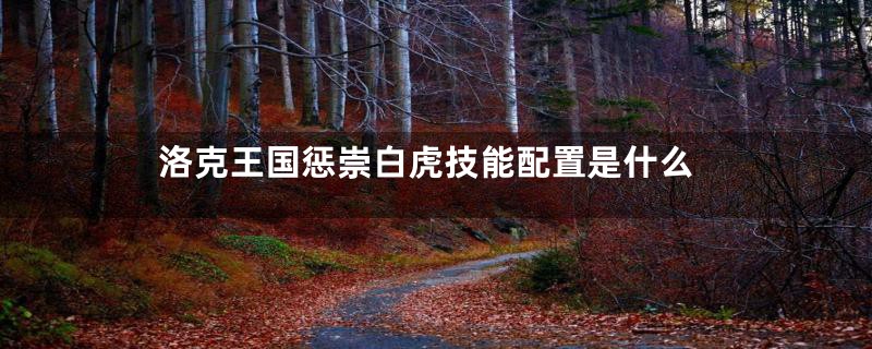 洛克王国惩崇白虎技能配置是什么