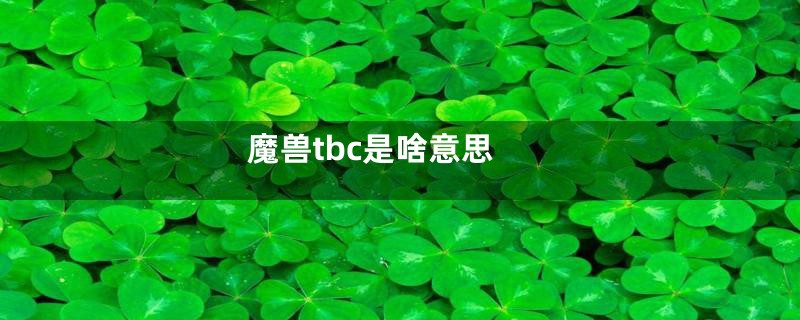 魔兽tbc是啥意思