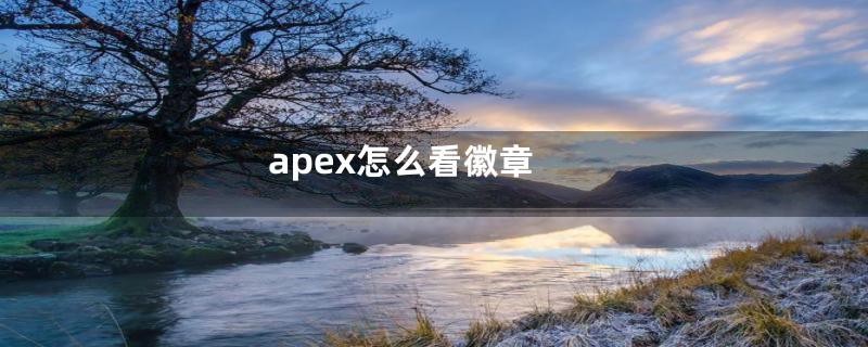 apex怎么看徽章