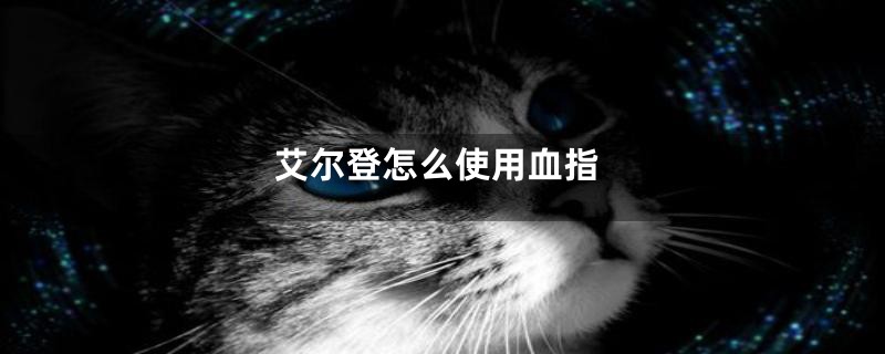 艾尔登怎么使用血指