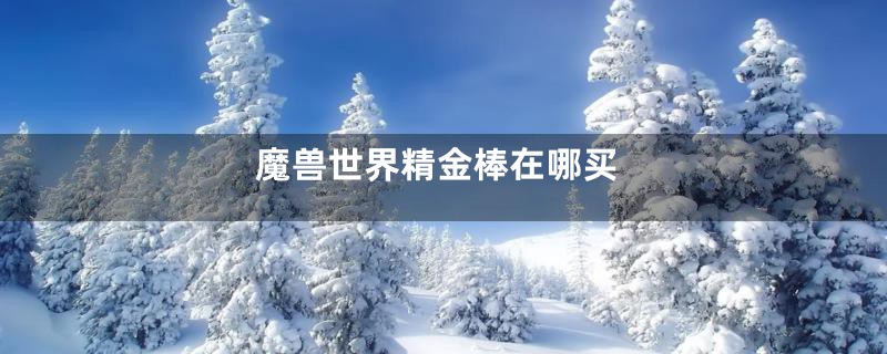 魔兽世界精金棒在哪买