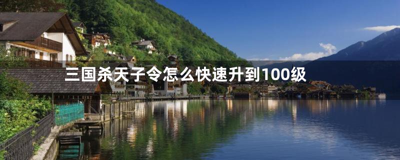 三国杀天子令怎么快速升到100级