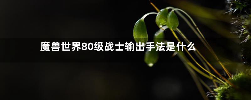 魔兽世界80级战士输出手法是什么