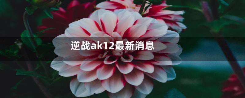 逆战ak12最新消息