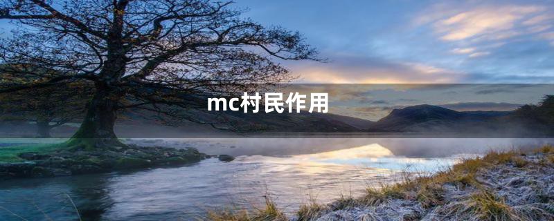 mc村民作用