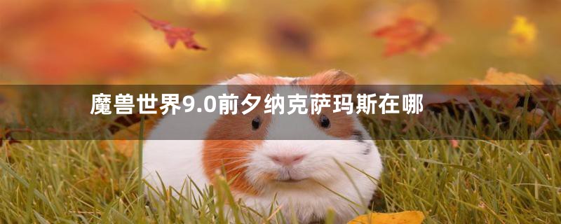 魔兽世界9.0前夕纳克萨玛斯在哪