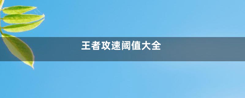王者攻速阈值大全