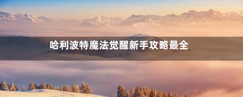 哈利波特魔法觉醒新手攻略最全