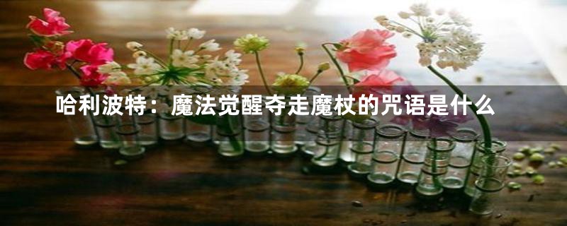 哈利波特:魔法觉醒夺走魔杖的咒语是什么