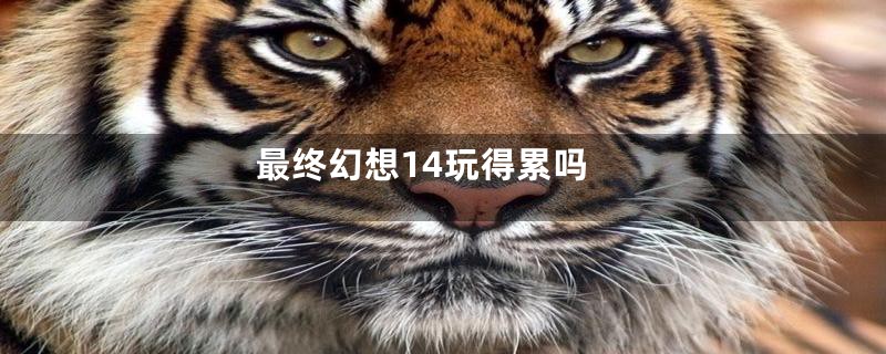 最终幻想14玩得累吗