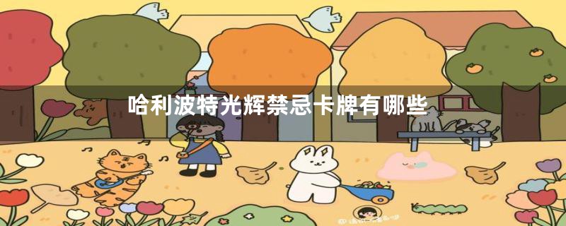 哈利波特光辉禁忌卡牌有哪些