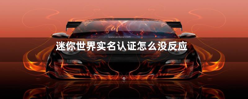 迷你世界实名认证怎么没反应