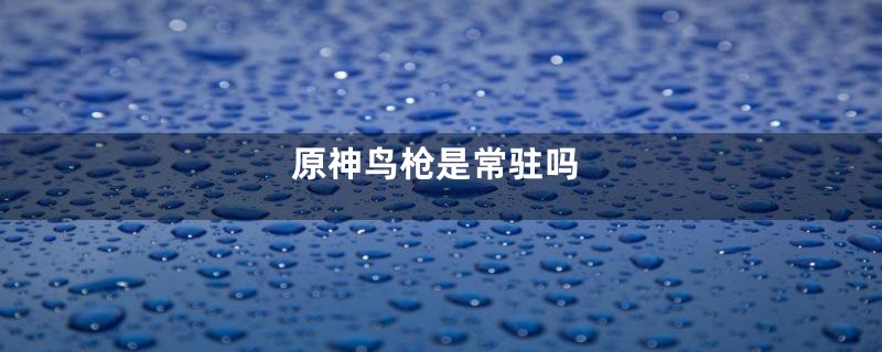 原神鸟枪是常驻吗
