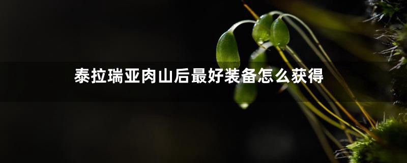 泰拉瑞亚肉山后最好装备怎么获得