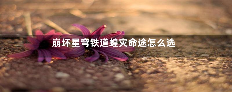 崩坏星穹铁道蝗灾命途怎么选