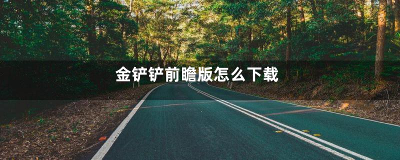 金铲铲前瞻版怎么下载
