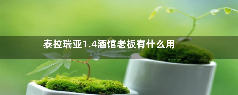 泰拉瑞亚1.4酒馆老板有什么用