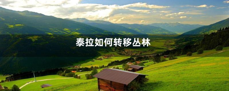 泰拉如何转移丛林