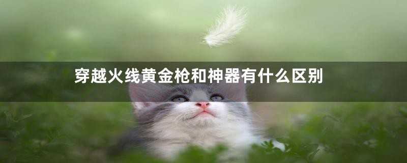 穿越火线黄金枪和神器有什么区别