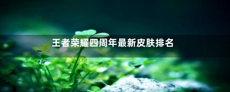 王者荣耀四周年最新皮肤排名