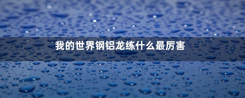我的世界钢铝龙练什么最厉害