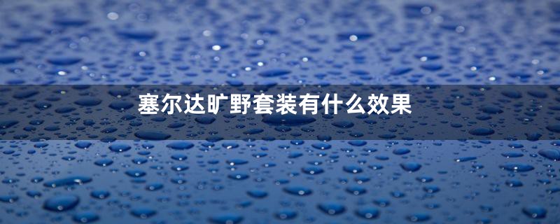 塞尔达旷野套装有什么效果