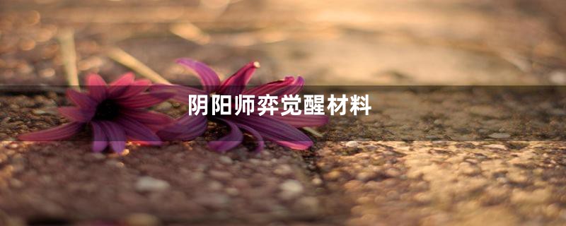 阴阳师弈觉醒材料
