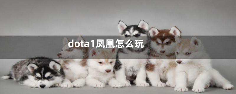 dota1凤凰怎么玩