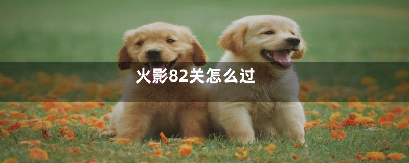 火影82关怎么过