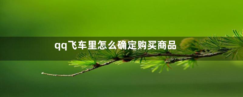 qq飞车里怎么确定购买商品