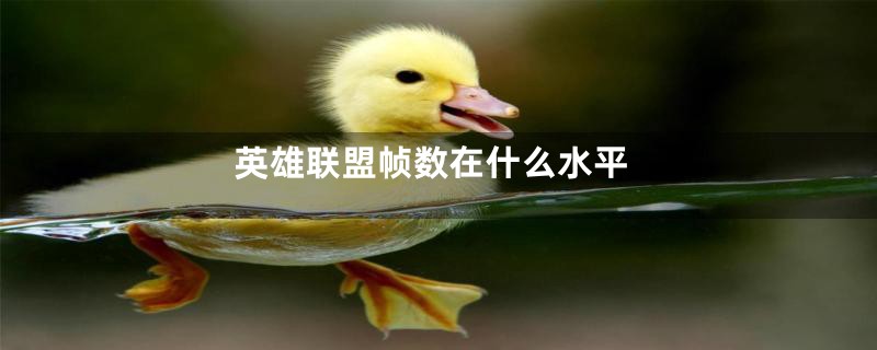 英雄联盟帧数在什么水平