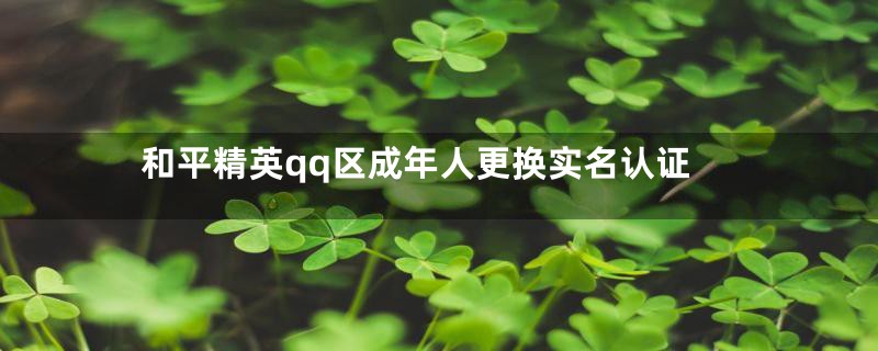 和平精英qq区成年人更换实名认证