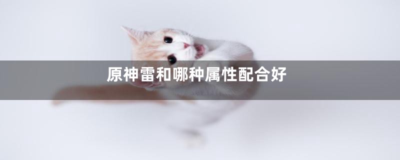 原神雷和哪种属性配合好