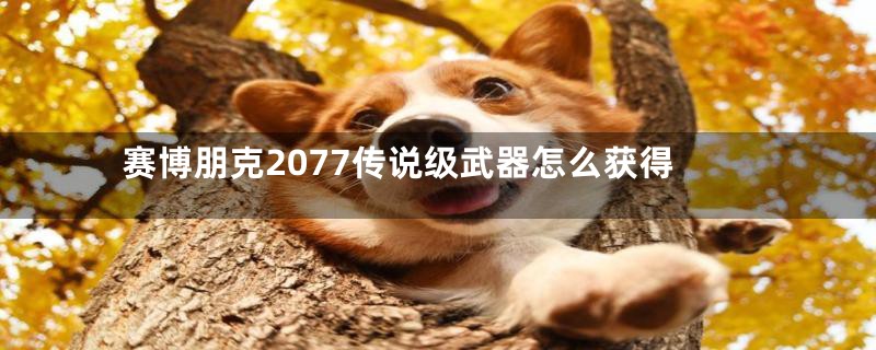 赛博朋克2077传说级武器怎么获得