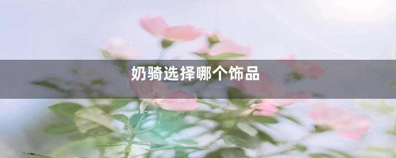 奶骑选择哪个饰品