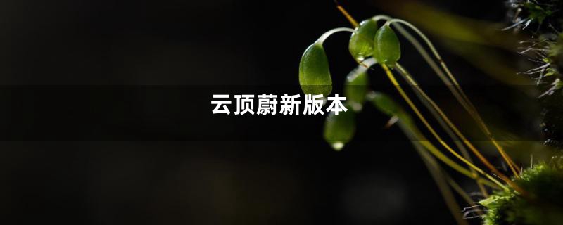云顶蔚新版本
