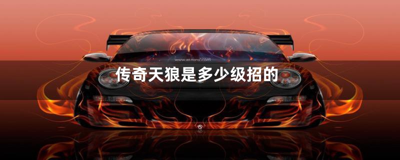 传奇天狼是多少级招的