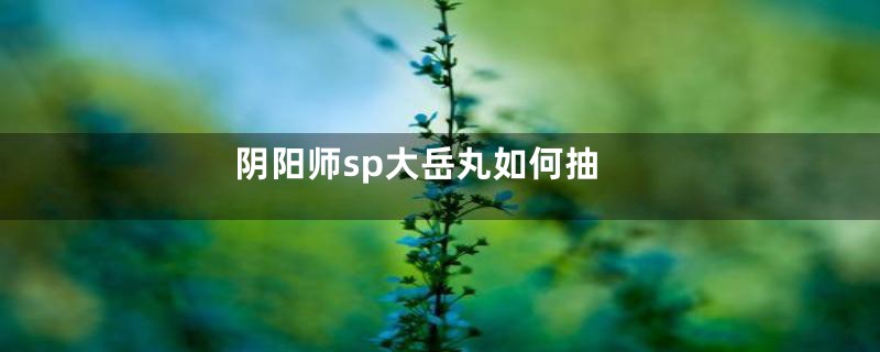 阴阳师sp大岳丸如何抽
