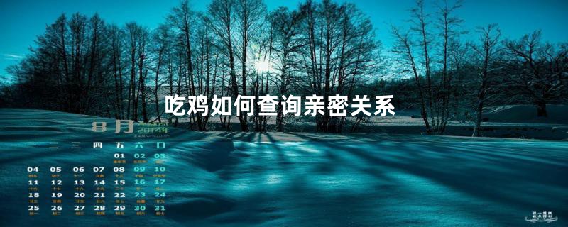 吃鸡如何查询亲密关系