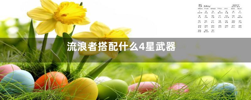 流浪者搭配什么4星武器