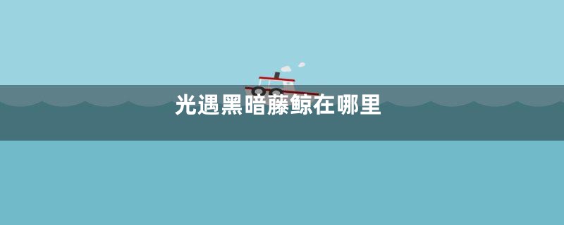 光遇黑暗藤鲸在哪里
