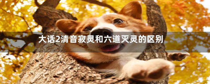 大话2清音寂灵和六道灭灵的区别