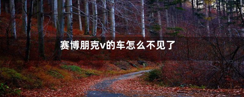 赛博朋克v的车怎么不见了
