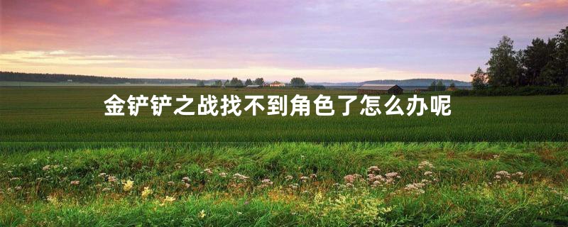 金铲铲之战找不到角色了怎么办呢